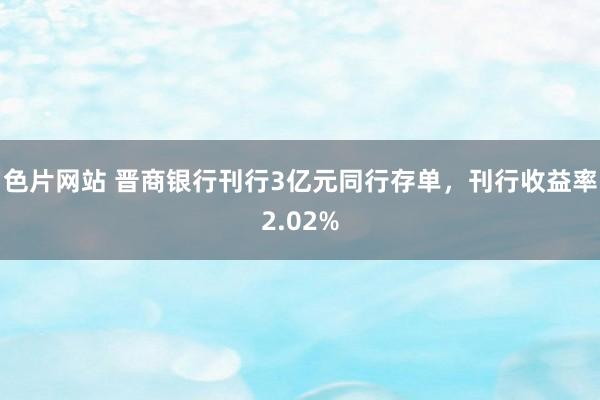 色片网站 晋商银行刊行3亿元同行存单，刊行收益率2.02%