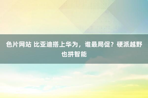 色片网站 比亚迪搭上华为，谁最局促？硬派越野也拼智能