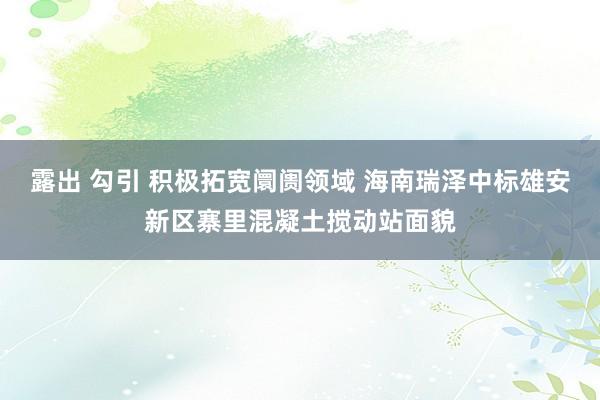 露出 勾引 积极拓宽阛阓领域 海南瑞泽中标雄安新区寨里混凝土搅动站面貌