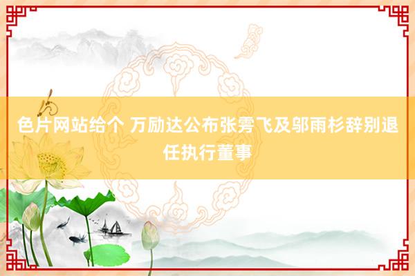 色片网站给个 万励达公布张雱飞及邬雨杉辞别退任执行董事