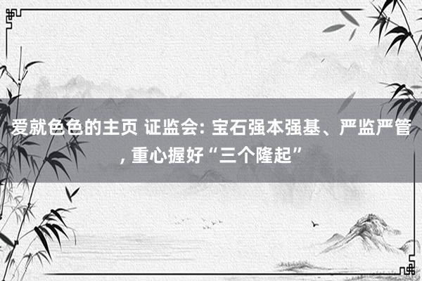 爱就色色的主页 证监会: 宝石强本强基、严监严管， 重心握好“三个隆起”