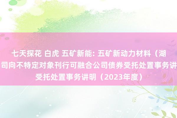 七天探花 白虎 五矿新能: 五矿新动力材料（湖南）股份有限公司向不特定对象刊行可融合公司债券受托处置事务讲明（2023年度）