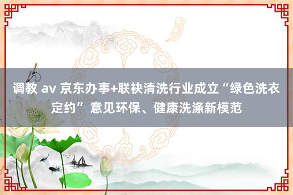 调教 av 京东办事+联袂清洗行业成立“绿色洗衣定约” 意见环保、健康洗涤新模范