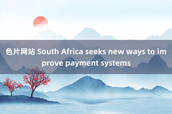 色片网站 South Africa seeks new ways to improve payment systems