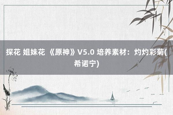 探花 姐妹花 《原神》V5.0 培养素材：灼灼彩菊(希诺宁)