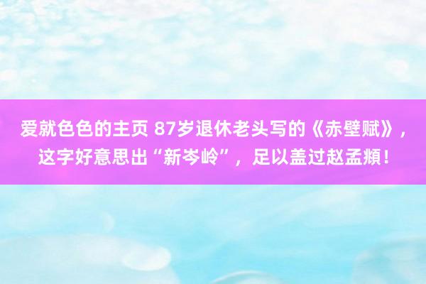 爱就色色的主页 87岁退休老头写的《赤壁赋》，这字好意思出“新岑岭”，足以盖过赵孟頫！