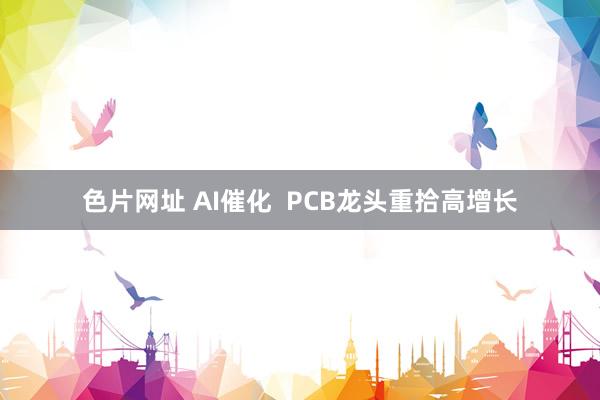 色片网址 AI催化  PCB龙头重拾高增长