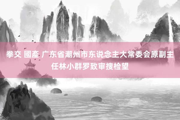 拳交 國產 广东省潮州市东说念主大常委会原副主任林小群罗致审搜检望