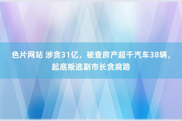 色片网站 涉贪31亿，被查房产超千汽车38辆，起底叛逃副市长贪腐路