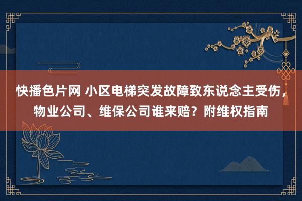 快播色片网 小区电梯突发故障致东说念主受伤，物业公司、维保公司谁来赔？附维权指南