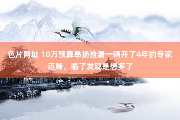 色片网址 10万预算昂扬捡漏一辆开了4年的专家迈腾，临了发现是想多了