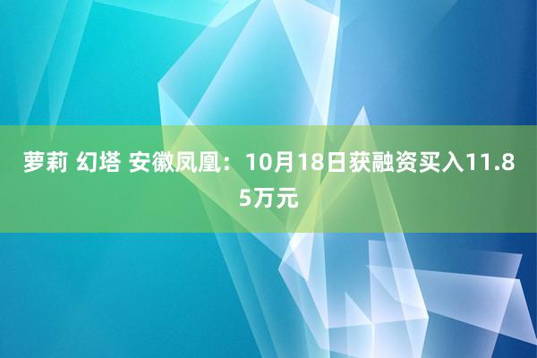 萝莉 幻塔 安徽凤凰：10月18日获融资买入11.85万元