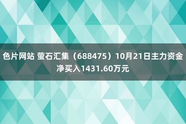 色片网站 萤石汇集（688475）10月21日主力资金净买入1431.60万元