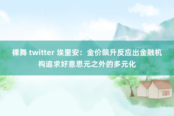 裸舞 twitter 埃里安：金价飙升反应出金融机构追求好意思元之外的多元化