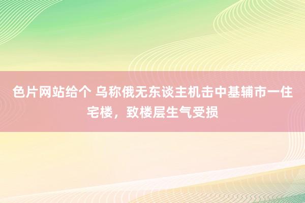 色片网站给个 乌称俄无东谈主机击中基辅市一住宅楼，致楼层生气受损