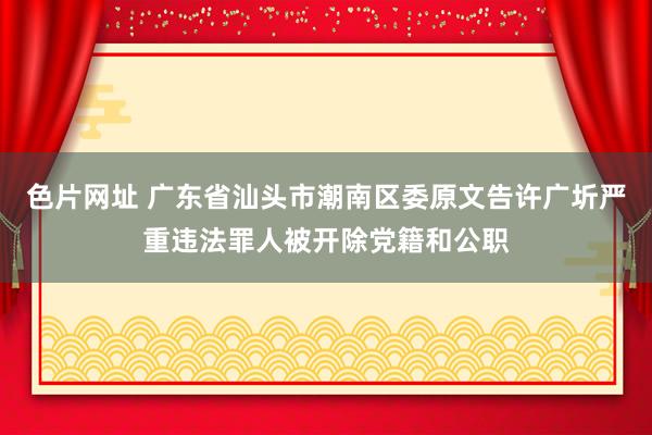 色片网址 广东省汕头市潮南区委原文告许广圻严重违法罪人被开除党籍和公职