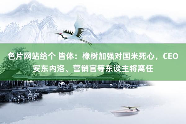 色片网站给个 皆体：橡树加强对国米死心，CEO安东内洛、营销官等东谈主将离任