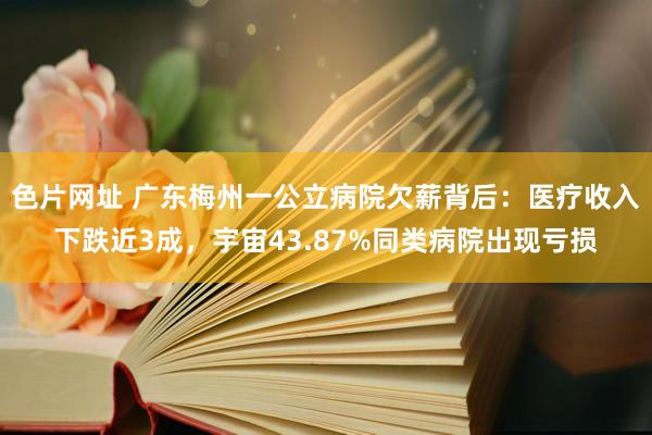 色片网址 广东梅州一公立病院欠薪背后：医疗收入下跌近3成，宇宙43.87%同类病院出现亏损