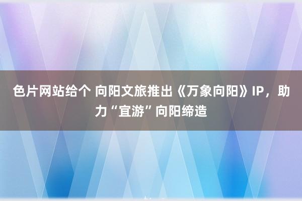 色片网站给个 向阳文旅推出《万象向阳》IP，助力“宜游”向阳缔造