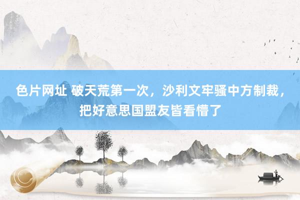 色片网址 破天荒第一次，沙利文牢骚中方制裁，把好意思国盟友皆看懵了