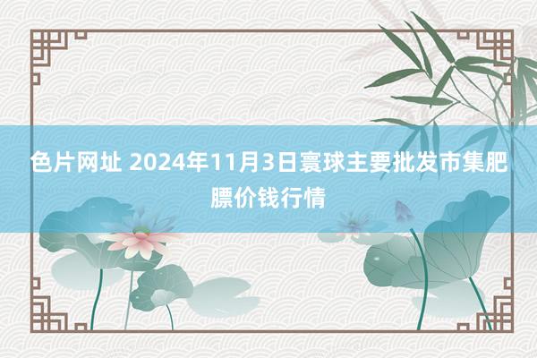 色片网址 2024年11月3日寰球主要批发市集肥膘价钱行情