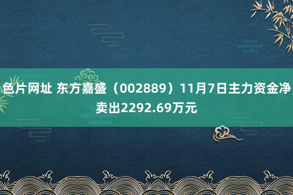 色片网址 东方嘉盛（002889）11月7日主力资金净卖出2292.69万元