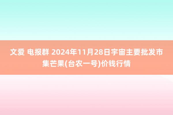 文爱 电报群 2024年11月28日宇宙主要批发市集芒果(台农一号)价钱行情