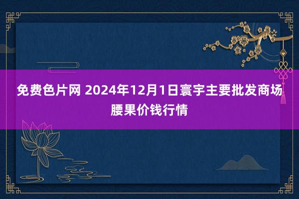 免费色片网 2024年12月1日寰宇主要批发商场腰果价钱行情