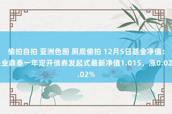 偷拍自拍 亚洲色图 厕底偷拍 12月5日基金净值：兴业鼎泰一年定开债券发起式最新净值1.015，涨0.02%