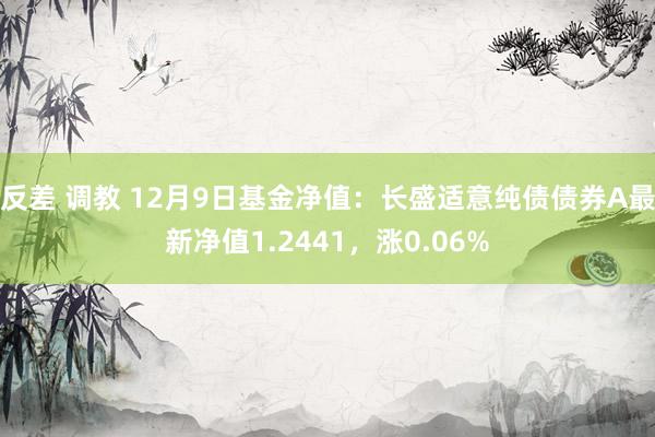 反差 调教 12月9日基金净值：长盛适意纯债债券A最新净值1.2441，涨0.06%