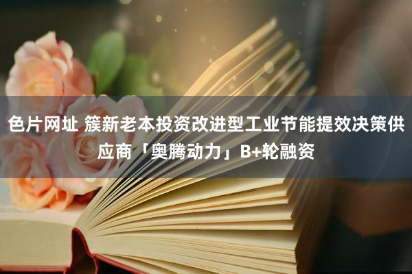 色片网址 簇新老本投资改进型工业节能提效决策供应商「奥腾动力」B+轮融资