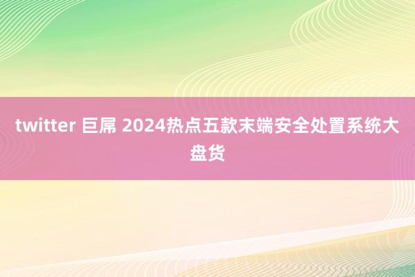 twitter 巨屌 2024热点五款末端安全处置系统大盘货