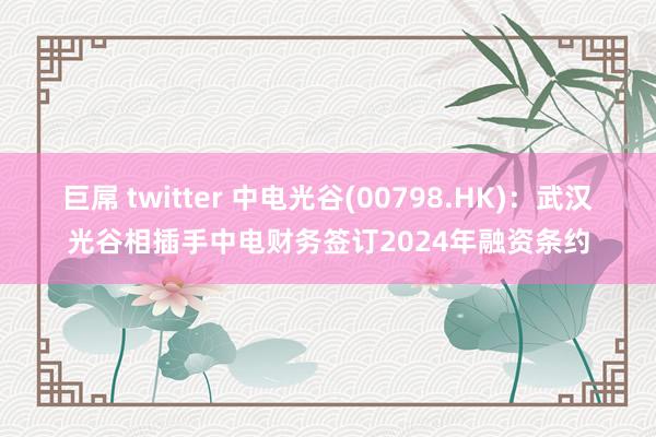 巨屌 twitter 中电光谷(00798.HK)：武汉光谷相插手中电财务签订2024年融资条约