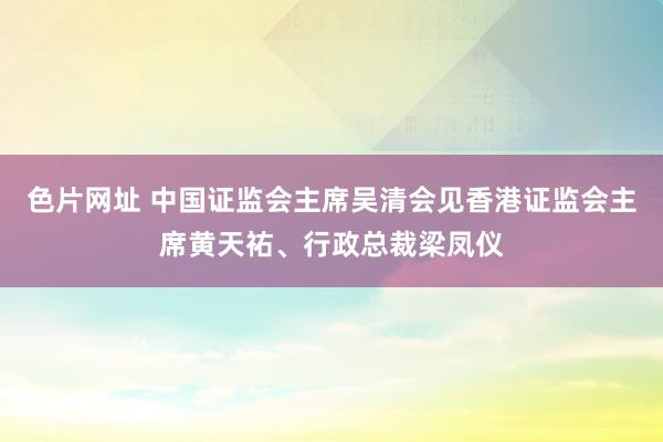 色片网址 中国证监会主席吴清会见香港证监会主席黄天祐、行政总裁梁凤仪