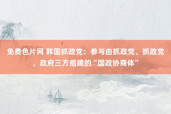 免费色片网 韩国抓政党：参与由抓政党、抓政党、政府三方组建的“国政协商体”