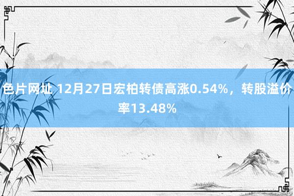 色片网址 12月27日宏柏转债高涨0.54%，转股溢价率13.48%