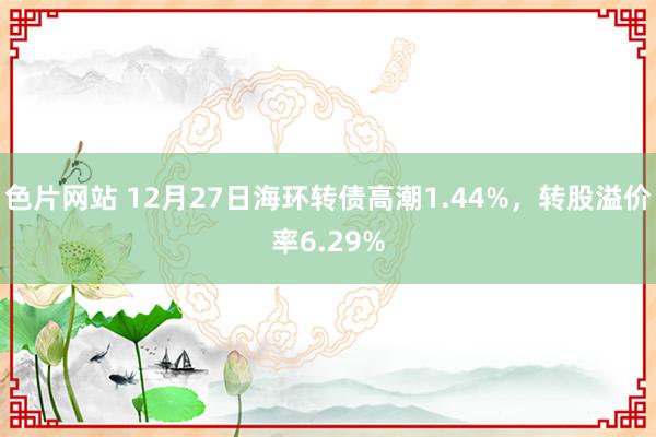 色片网站 12月27日海环转债高潮1.44%，转股溢价率6.29%