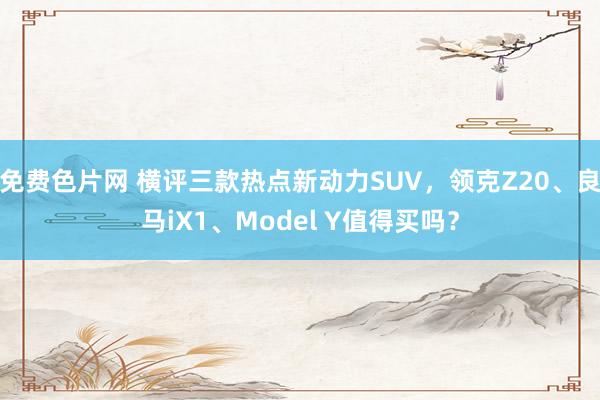 免费色片网 横评三款热点新动力SUV，领克Z20、良马iX1、Model Y值得买吗？