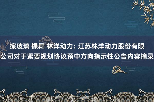 擦玻璃 裸舞 林洋动力: 江苏林洋动力股份有限公司对于紧要规划协议预中方向指示性公告内容摘录