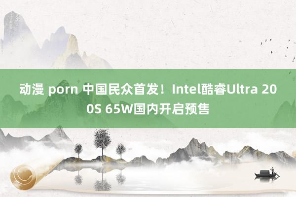 动漫 porn 中国民众首发！Intel酷睿Ultra 200S 65W国内开启预售