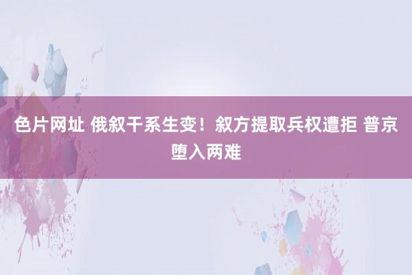 色片网址 俄叙干系生变！叙方提取兵权遭拒 普京堕入两难