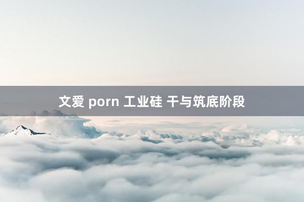 文爱 porn 工业硅 干与筑底阶段