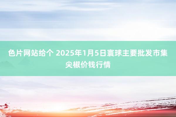 色片网站给个 2025年1月5日寰球主要批发市集尖椒价钱行情