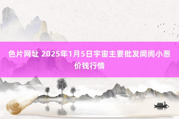 色片网址 2025年1月5日宇宙主要批发阛阓小葱价钱行情