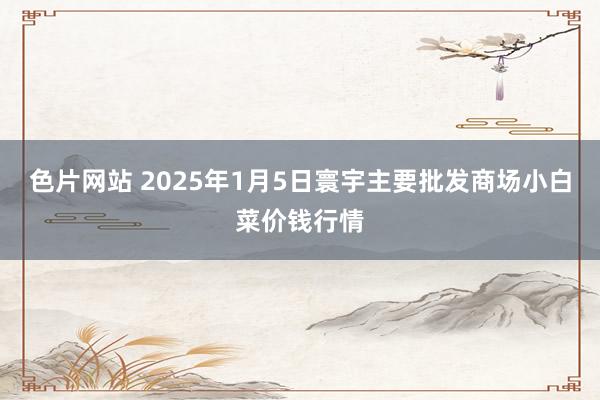 色片网站 2025年1月5日寰宇主要批发商场小白菜价钱行情