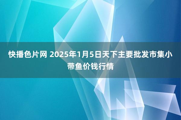 快播色片网 2025年1月5日天下主要批发市集小带鱼价钱行情