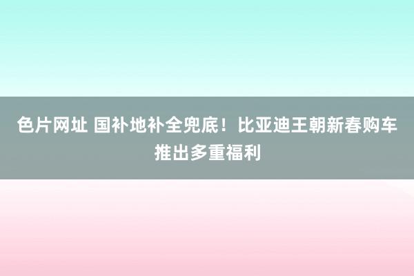 色片网址 国补地补全兜底！比亚迪王朝新春购车推出多重福利