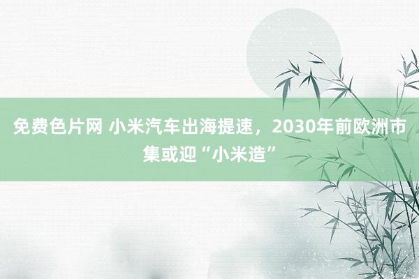 免费色片网 小米汽车出海提速，2030年前欧洲市集或迎“小米造”