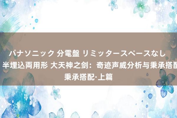 パナソニック 分電盤 リミッタースペースなし 露出・半埋込両用形 大天神之剑：奇迹声威分析与秉承搭配·上篇