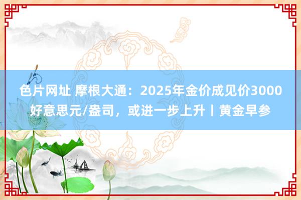 色片网址 摩根大通：2025年金价成见价3000好意思元/盎司，或进一步上升丨黄金早参